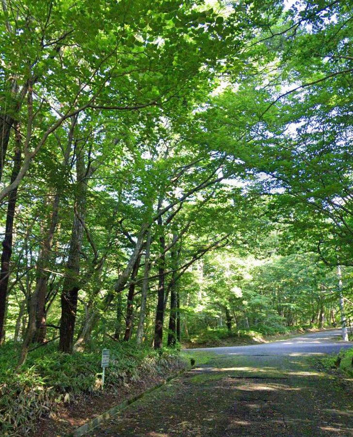 Nasu akiya property